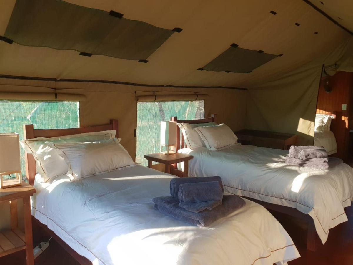 Kelora Bush Camp Hotell Hoedspruit Eksteriør bilde