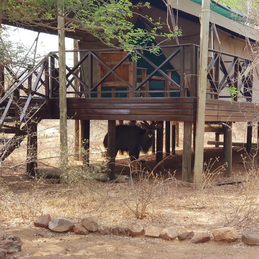 Kelora Bush Camp Hotell Hoedspruit Eksteriør bilde
