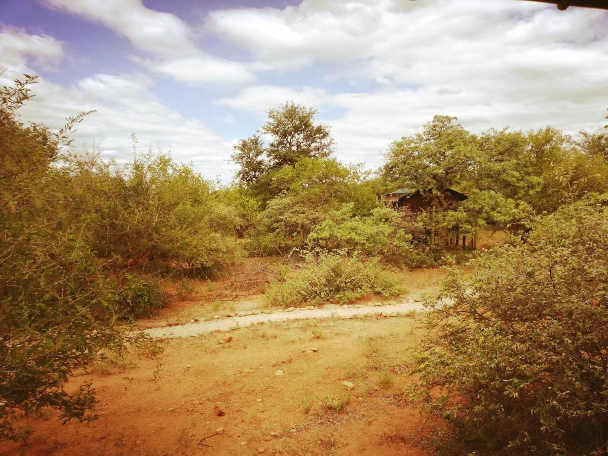 Kelora Bush Camp Hotell Hoedspruit Eksteriør bilde
