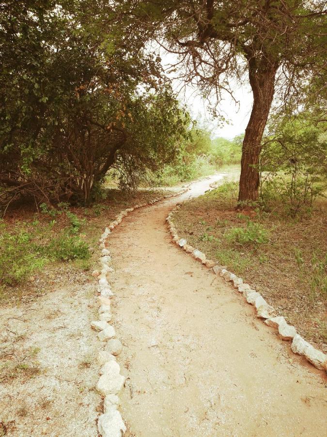 Kelora Bush Camp Hotell Hoedspruit Eksteriør bilde