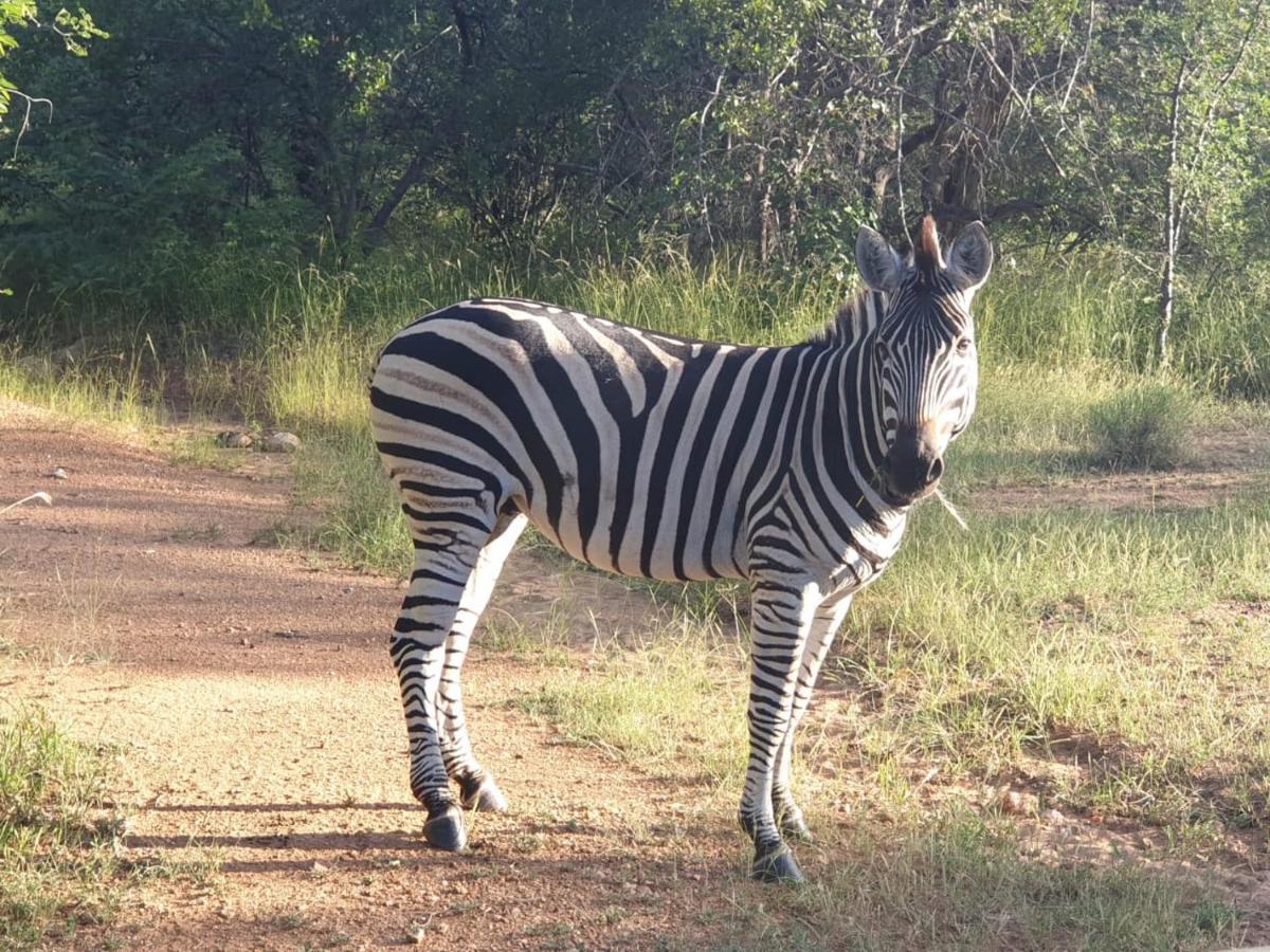 Kelora Bush Camp Hotell Hoedspruit Eksteriør bilde
